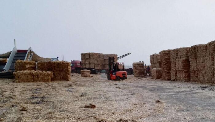 4mpa空氣壓縮機(jī)